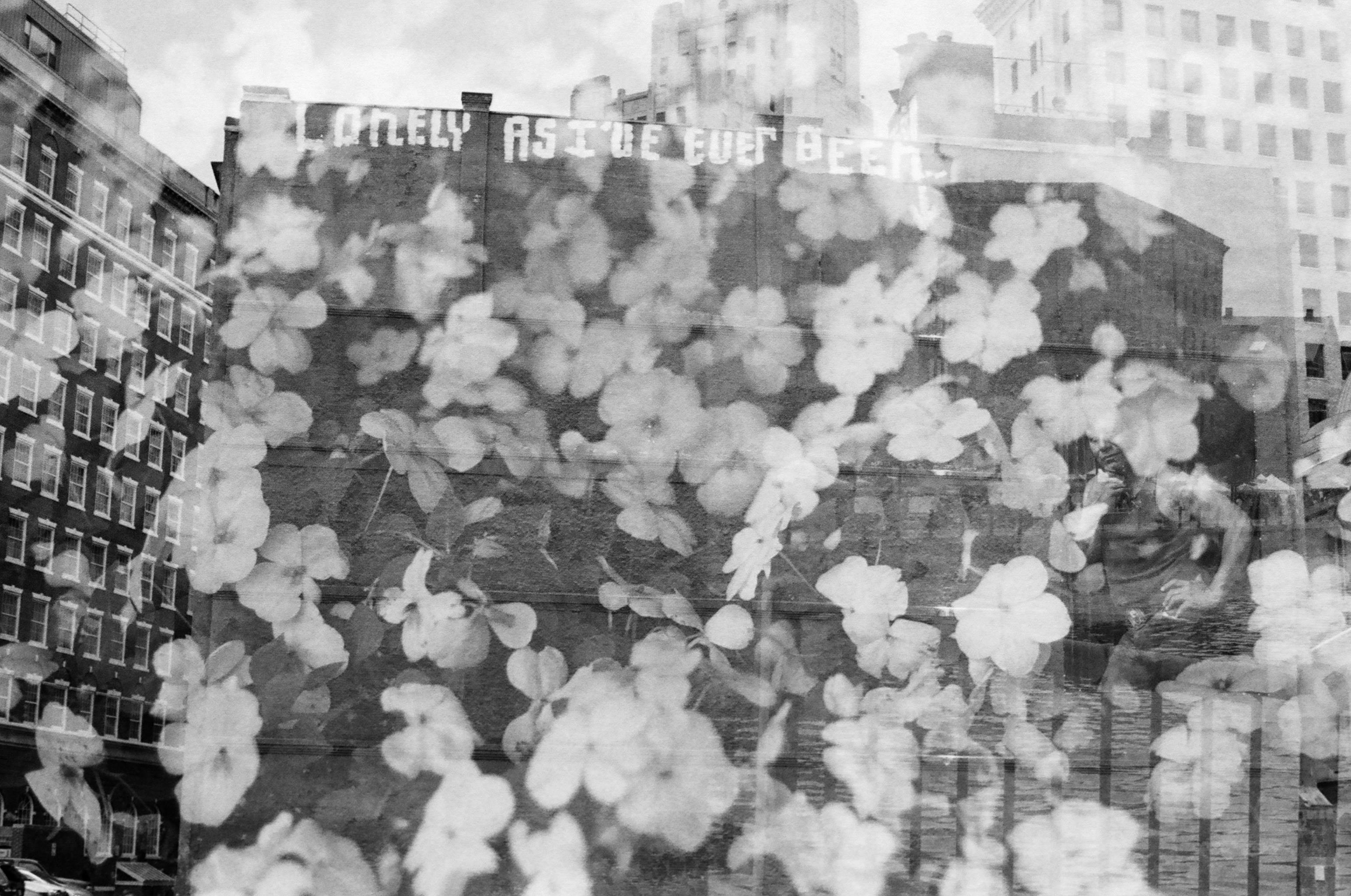 A double exposure film photo of the 'Loney as I'll ever be' grafitti in Providence, RI, with white petunias overlaid